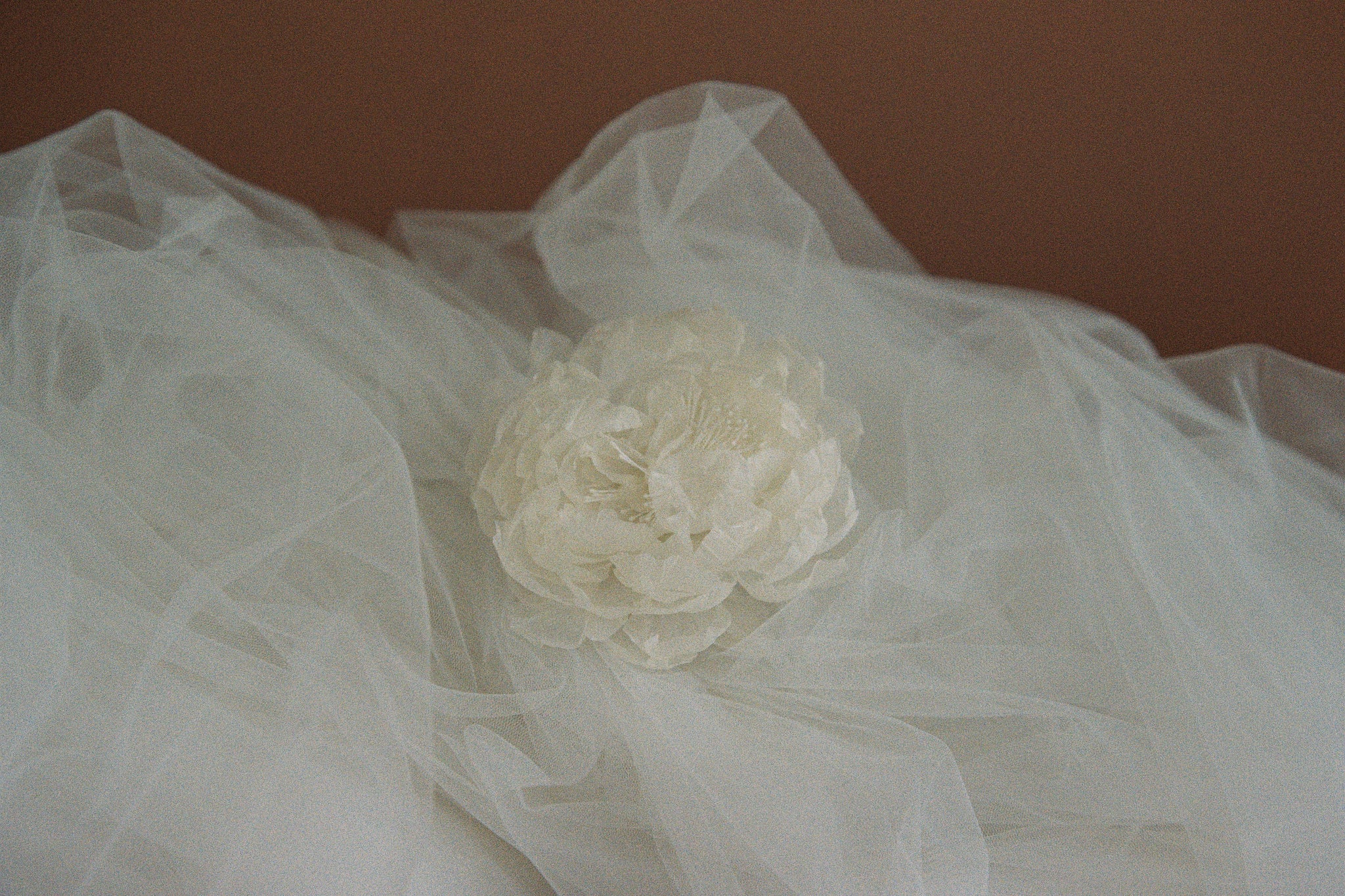 Floral Cathedral Veil photo 7