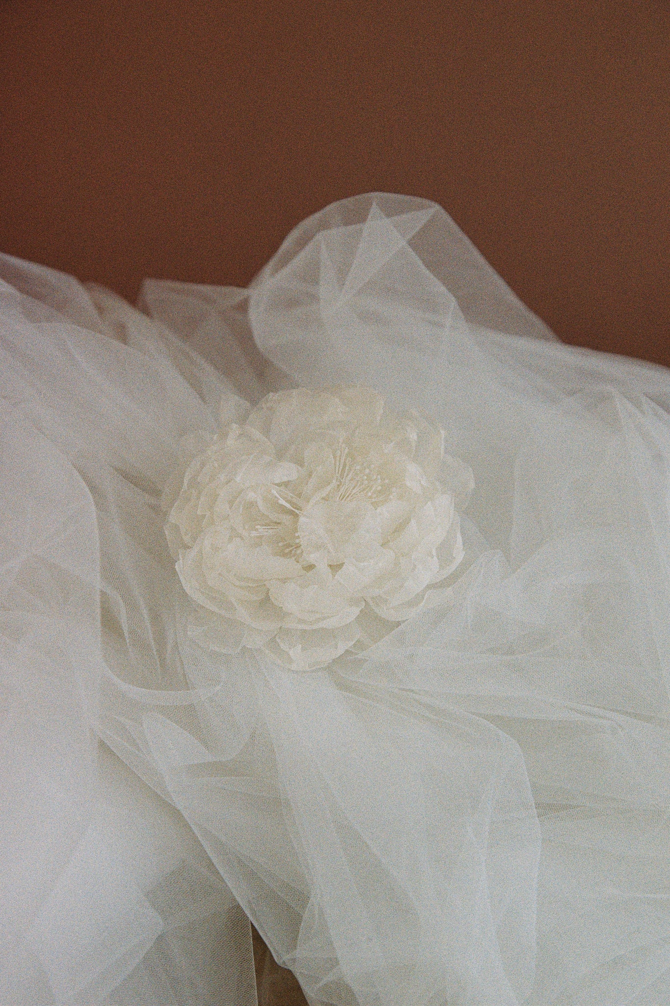 Floral Cathedral Veil photo 5